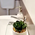 Severina Apartamento