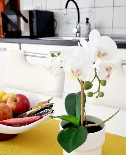 公寓 Severina 罗维尼