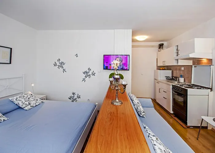 公寓 Severina 罗维尼