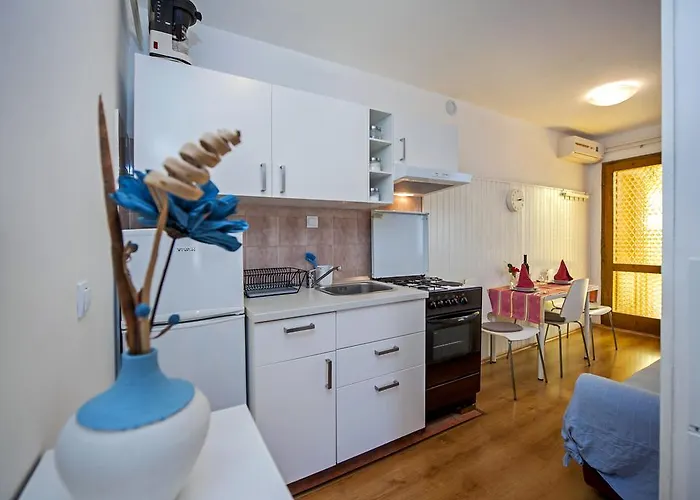 Severina 公寓 罗维尼