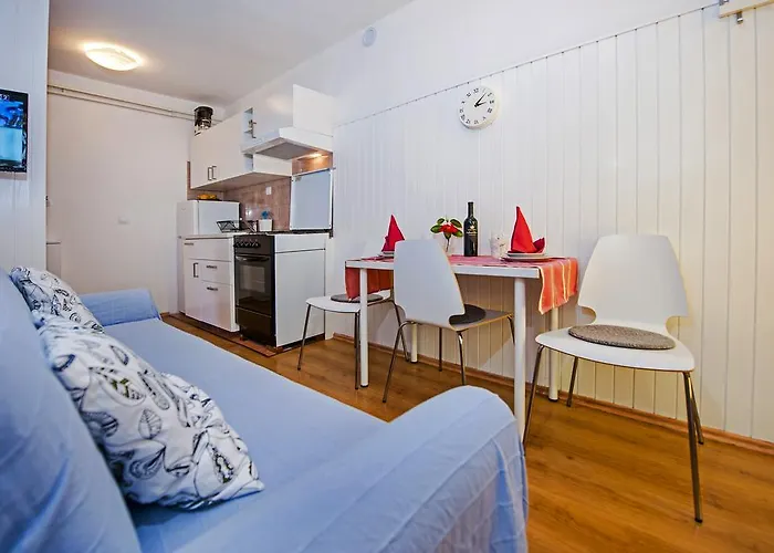 公寓 Severina 罗维尼