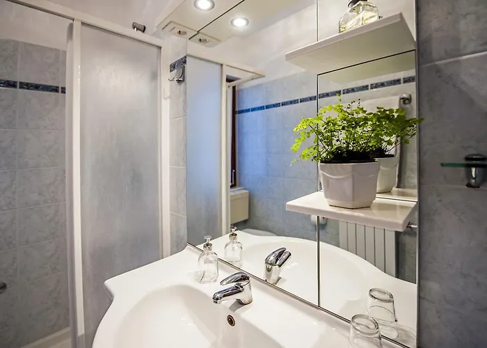 公寓 Severina 罗维尼