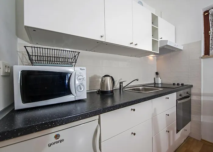 公寓 Severina 罗维尼