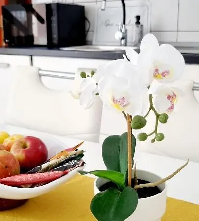 Apartment Severina Rovinj